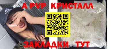 Альфа ПВП Кандалакша