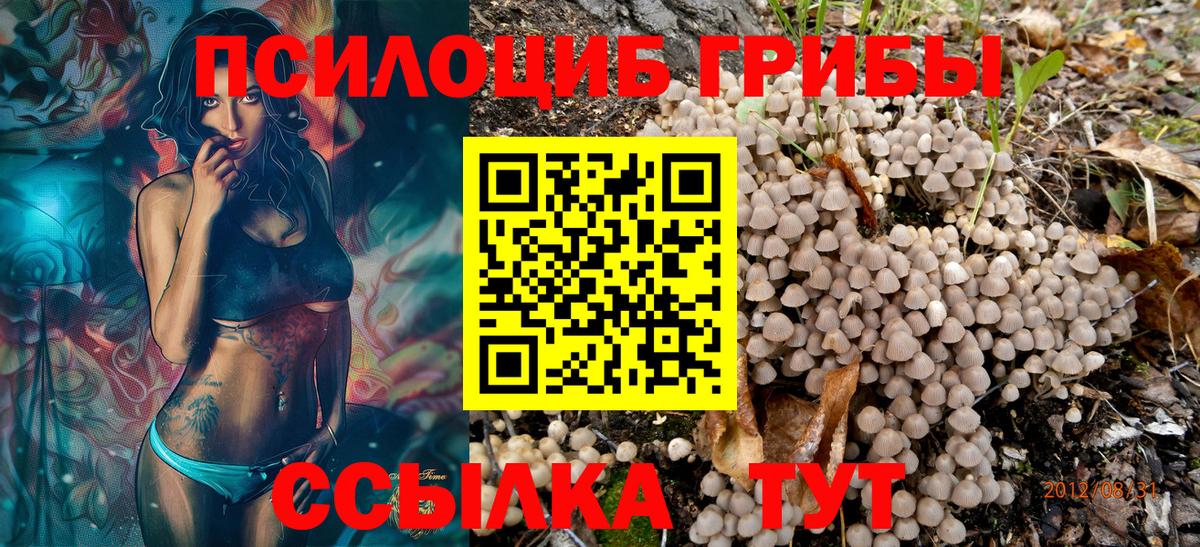 Псилоцибиновые грибы Psilocybine cubensis Киржач